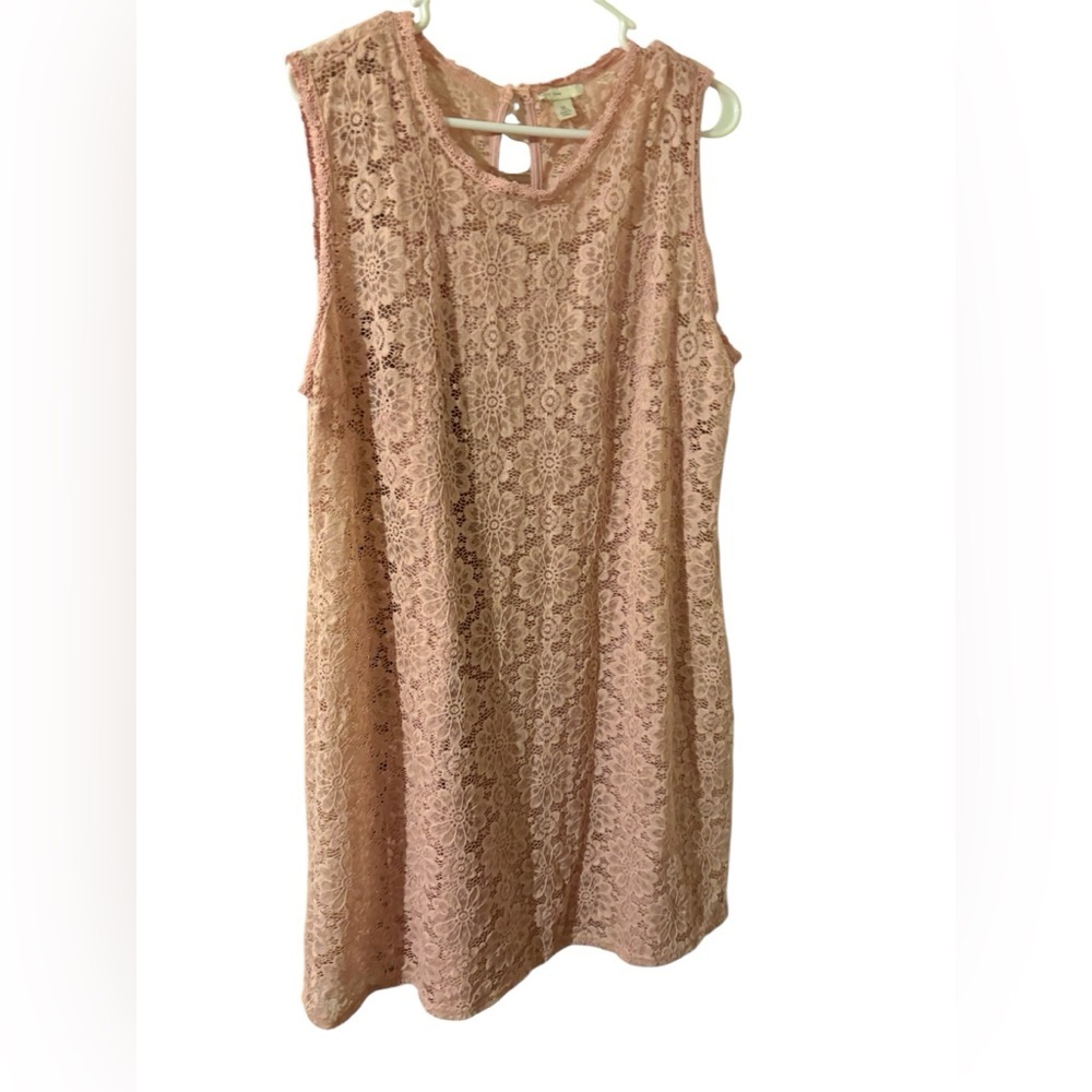 Stunning Cato Light Pink Lace Dress size XL NWOT!